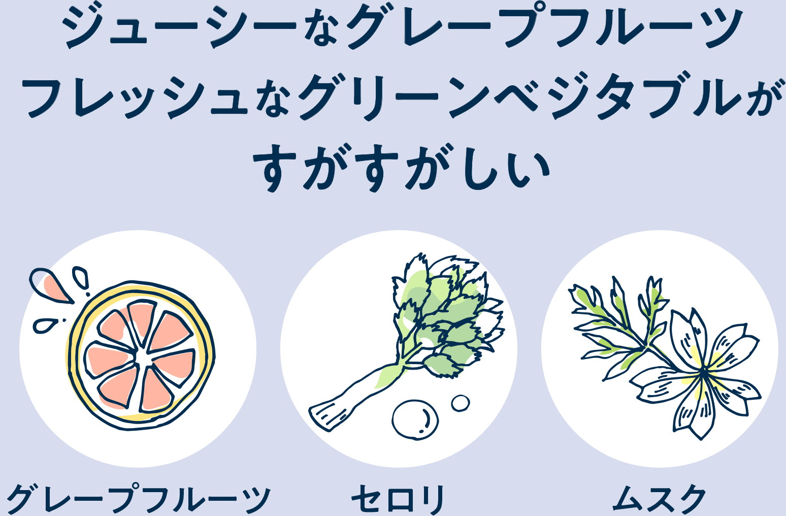 ジューシーなグレープフルーツ、フレッシュなグリーンベジタブルがすがすがしい グレープフルーツ、セロリ、ムスク